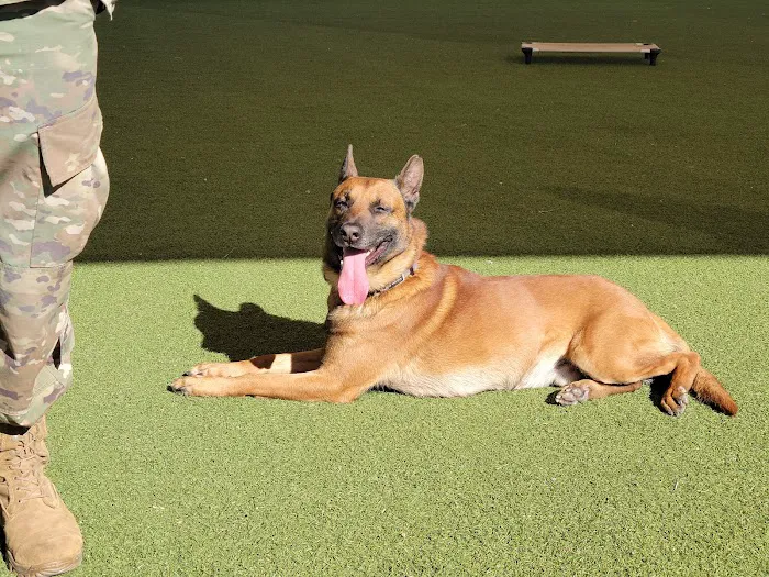 Luke Air Force Base Veterinary Service 5