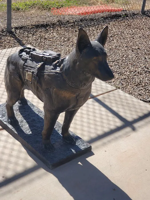 Luke Air Force Base Veterinary Service 7