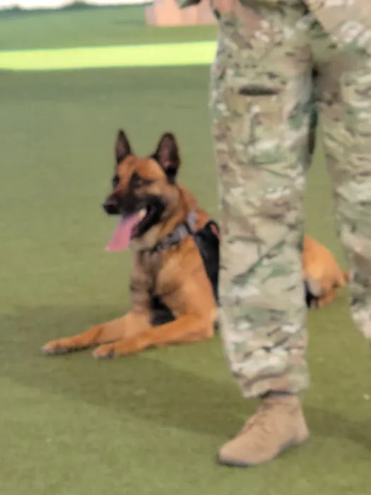 Luke Air Force Base Veterinary Service 1