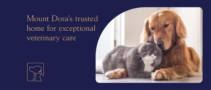 Britt Road Animal Hospital 12