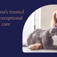 Britt Road Animal Hospital ico