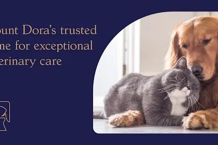 Britt Road Animal Hospital