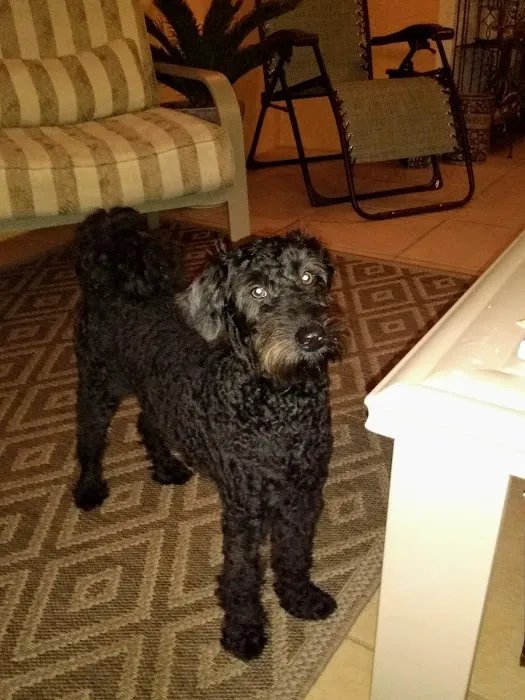 Beville Animal Hospital 7
