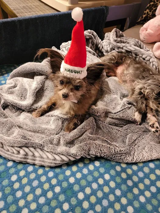 Beville Animal Hospital 4