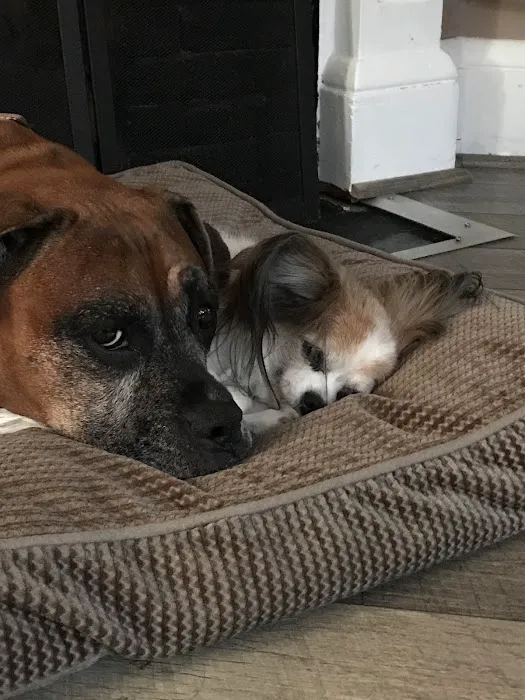 Beville Animal Hospital 2