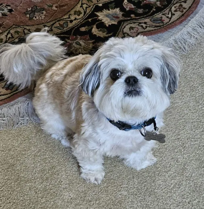 Beville Animal Hospital 10