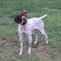 Long Amy DVM ico