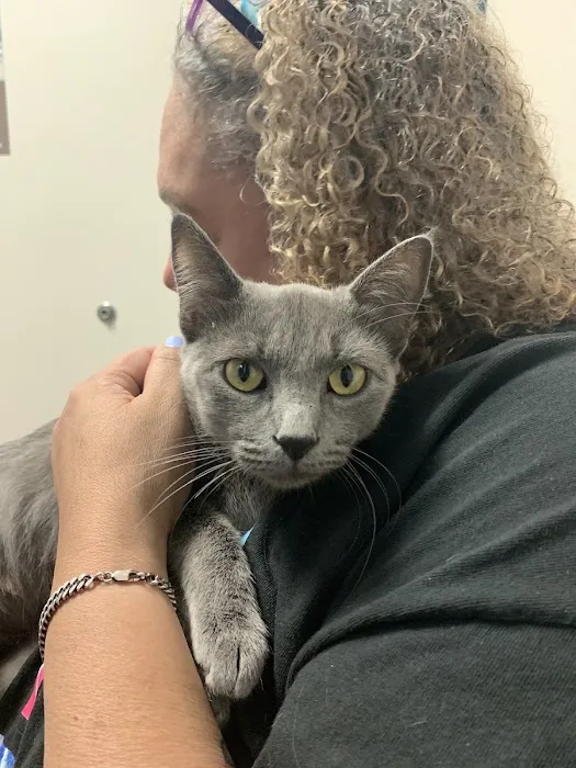 Atlantic Animal Hospital – Port Orange 8