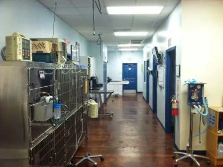 Atlantic Animal Hospital – Port Orange 2