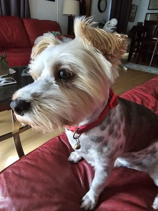 Atlantic Animal Hospital – Port Orange 10