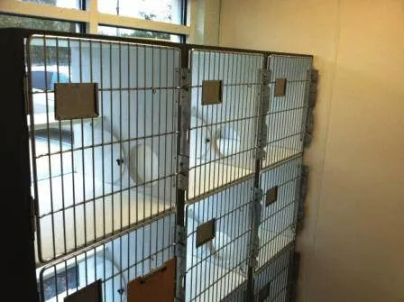 Atlantic Animal Hospital – Port Orange 4