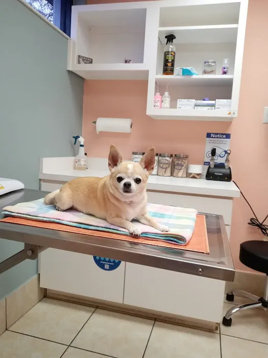 VCA Daytona Animal Hospital 1