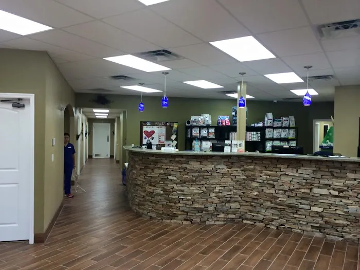 VCA Daytona Animal Hospital 8