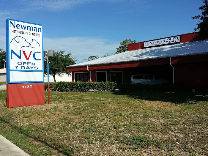 VCA Daytona Animal Hospital 9