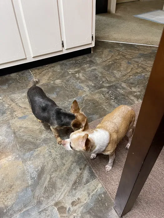 Ravenwood Veterinary Clinic 8