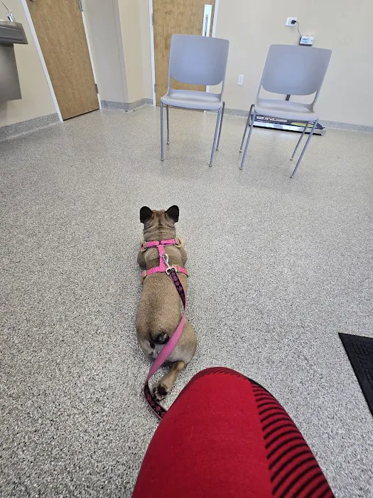 Ravenwood Veterinary Clinic 7