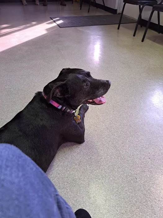Spruce Creek Animal Clinic 5