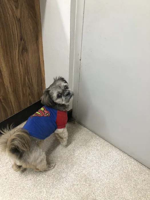 Spruce Creek Animal Clinic 8