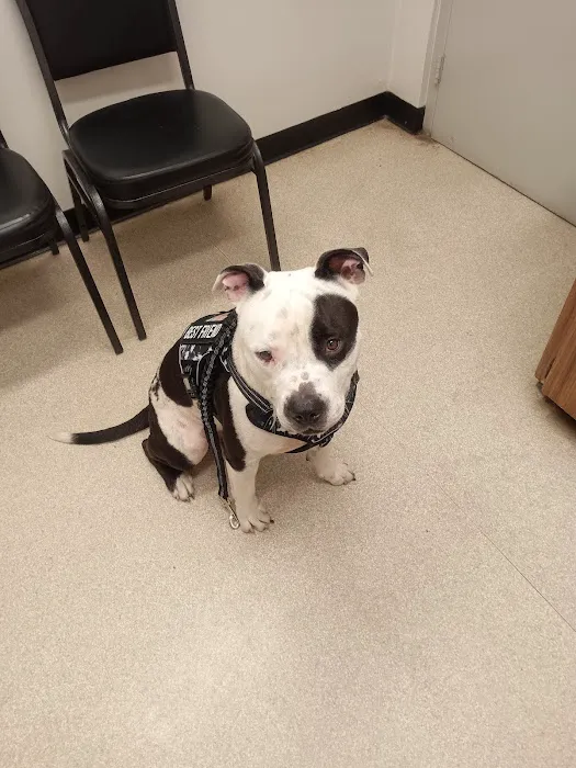 Spruce Creek Animal Clinic 6