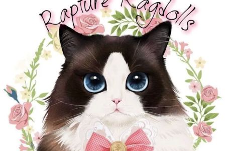 Rapture Ragdolls