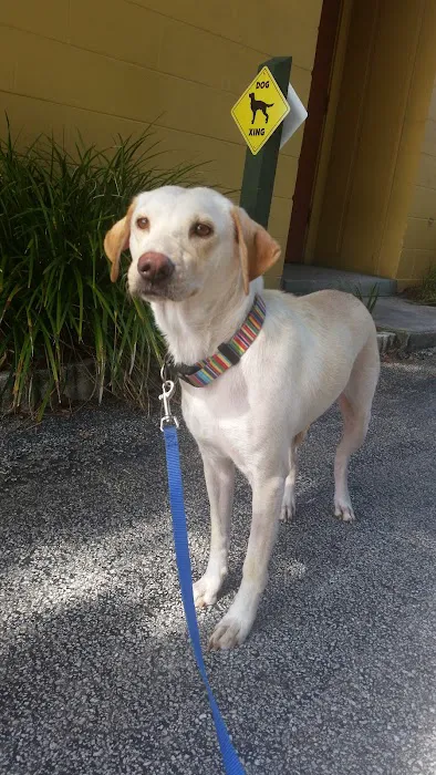 Bayshore Animal Hospital Port Orange 12