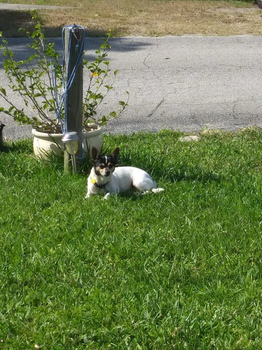 Bayshore Animal Hospital Port Orange 12