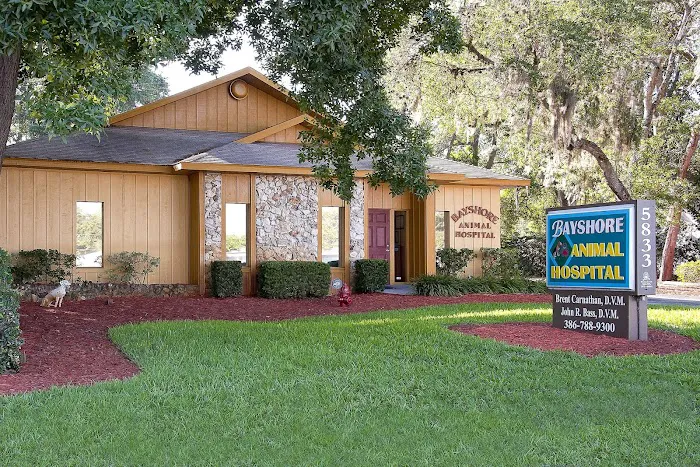 Bayshore Animal Hospital Port Orange 12