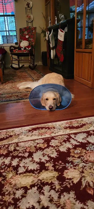 Bayshore Animal Hospital Port Orange 12