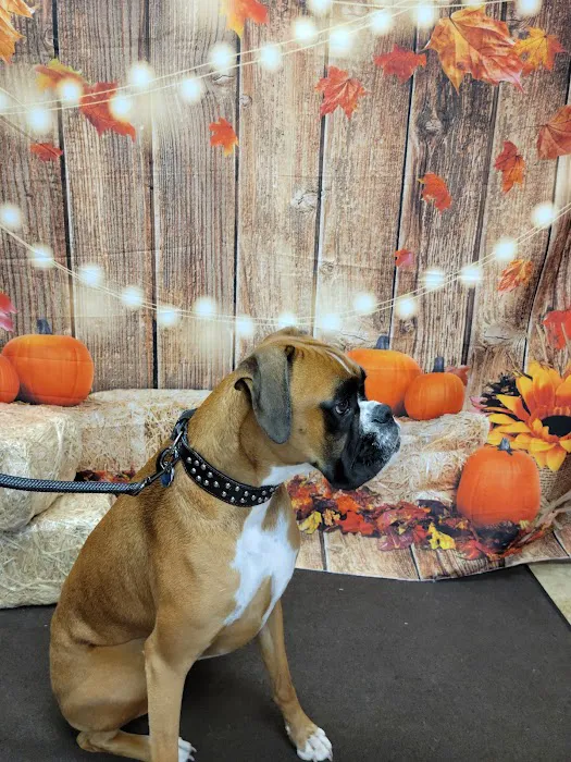 Bayshore Animal Hospital Port Orange 12