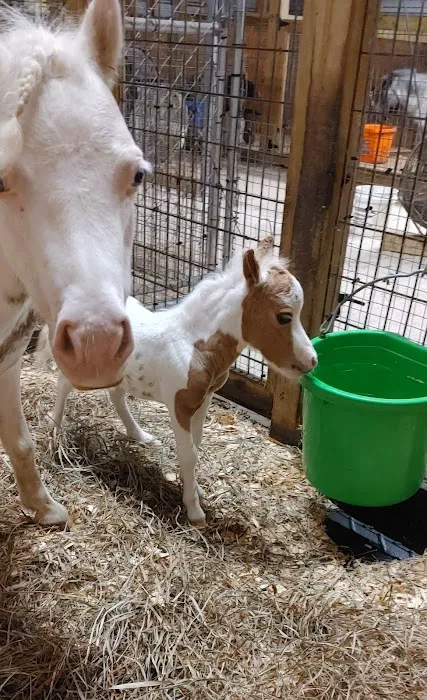 Equine Reproduction Center of Central Florida 3