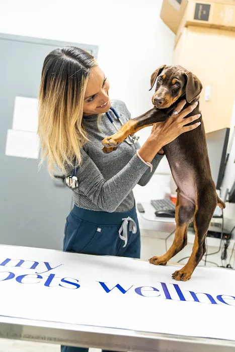 My Pets Wellness - Veterinarian - Port Orange 8