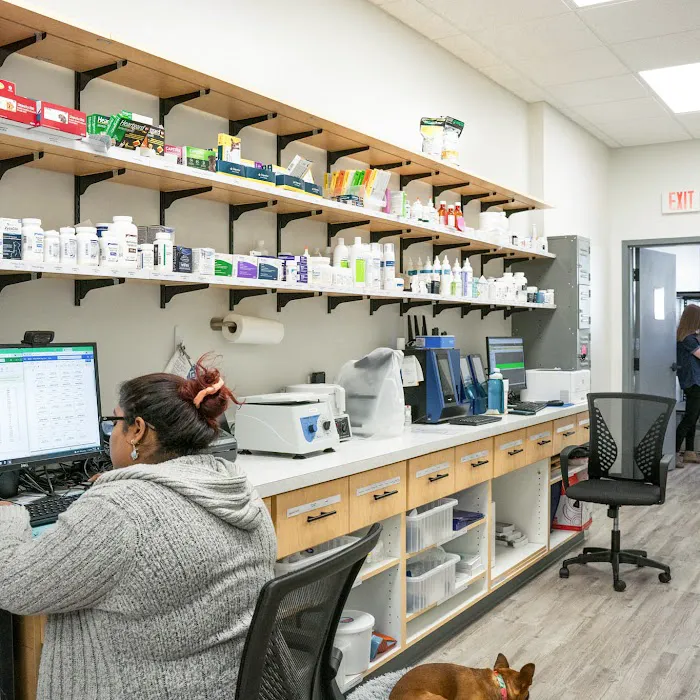 My Pets Wellness - Veterinarian - Port Orange 10