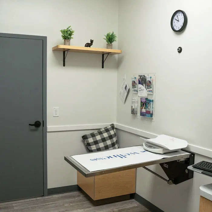 My Pets Wellness - Veterinarian - Port Orange 7