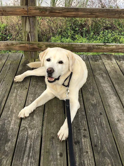 Shadow Lake Animal Hospital 7