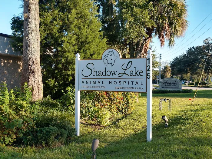 Shadow Lake Animal Hospital 8