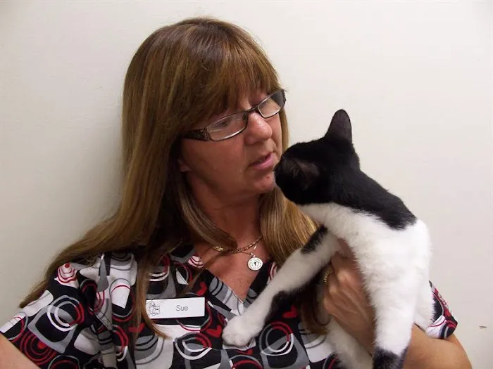 Tomoka Pines Veterinary Hospital 8