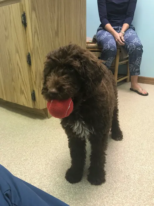 Granada Animal Hospital 8