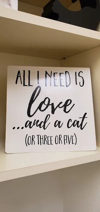 Bayshore Animal Hospital Ormond Beach 1