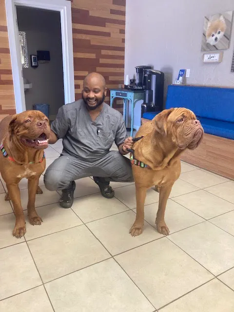 VCA Ormond Beach Animal Hospital 10