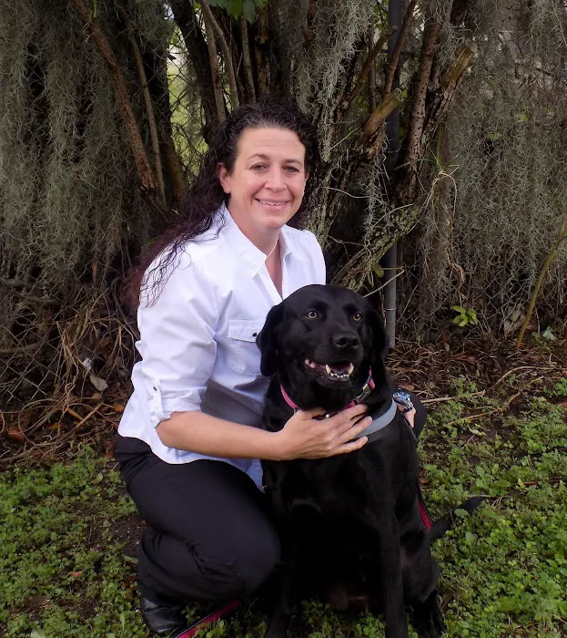 VCA Ormond Beach Animal Hospital 9