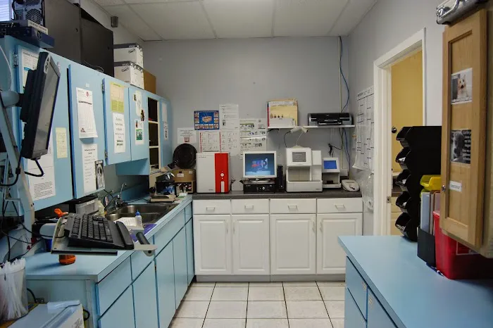 VCA Ormond Beach Animal Hospital 2