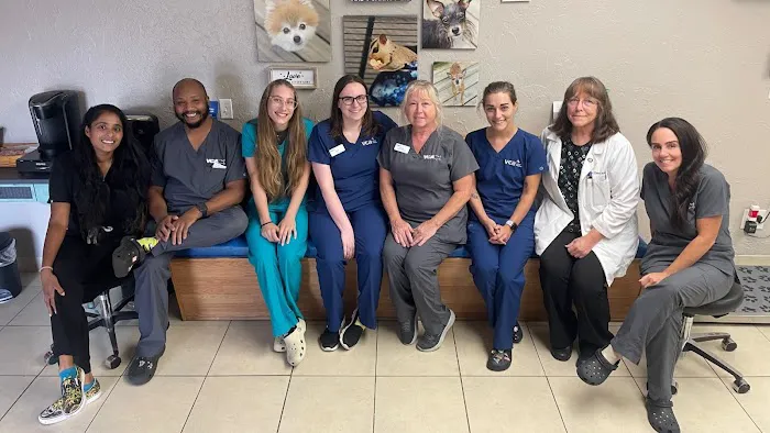 VCA Ormond Beach Animal Hospital 1
