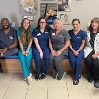 VCA Ormond Beach Animal Hospital ico