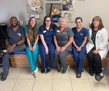 VCA Ormond Beach Animal Hospital