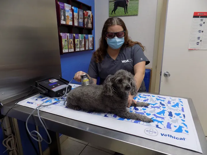 VCA Ormond Beach Animal Hospital 6