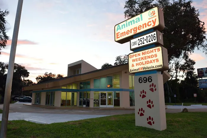 Animal Emergency Hospital Volusia 3