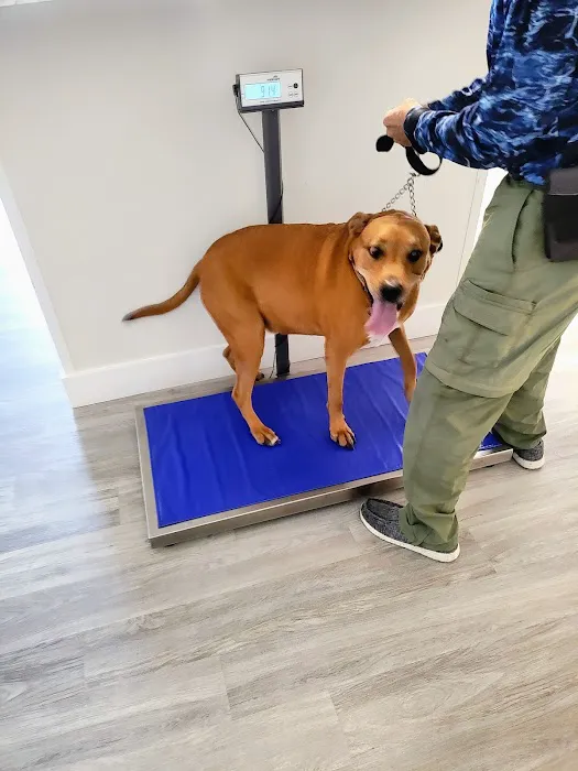 Coronado Animal Clinic 2