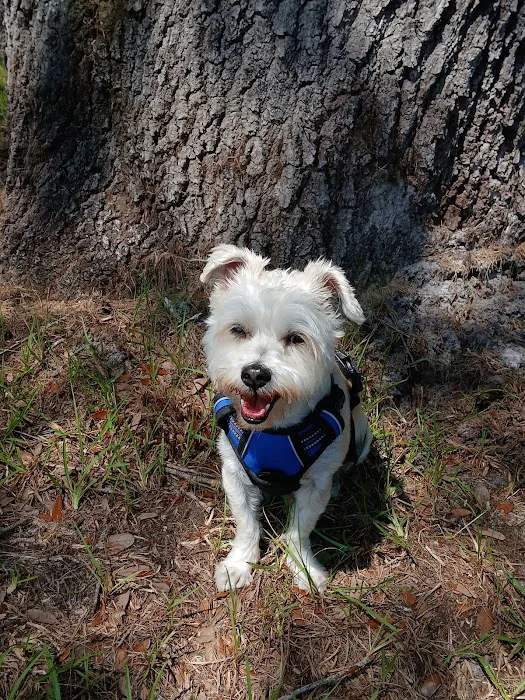 Coronado Animal Clinic 7