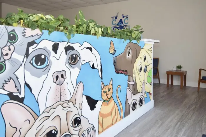 Coronado Animal Clinic 9