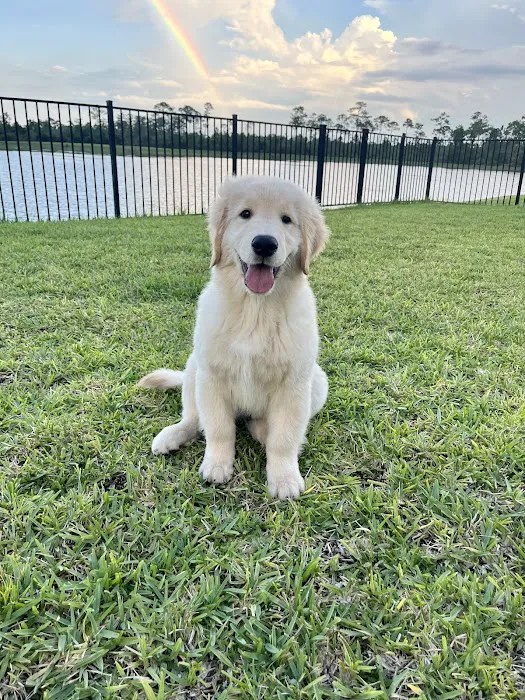 Coronado Animal Clinic 4